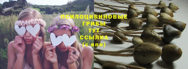 Альфа ПВП Алексеевка
